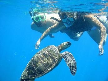 Aqua Zone Catamaran – photo 4 of 5