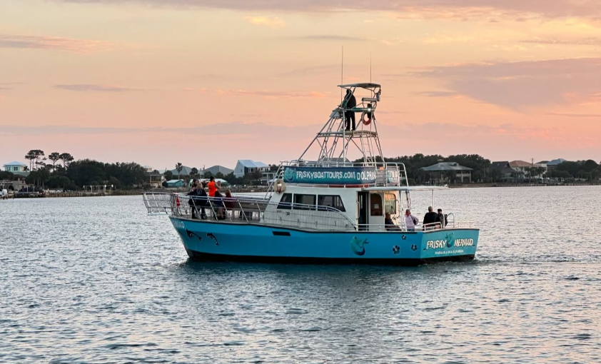 Frisky Mermaid Dolphin Tours & Pontoon Boat Rentals – photo 2 of 5