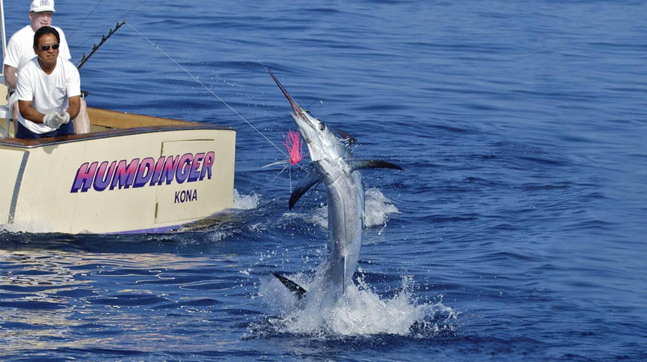 Humdinger Sportfishing – photo 2 of 5