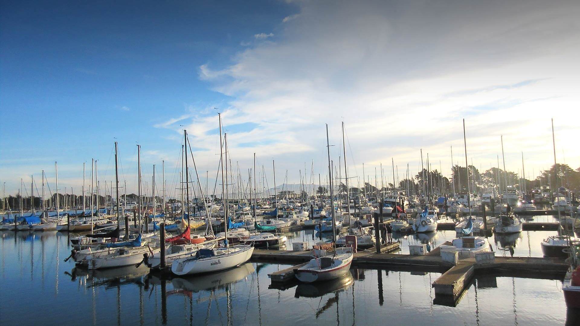 Berkeley Marina, Dock K – photo 2 of 5