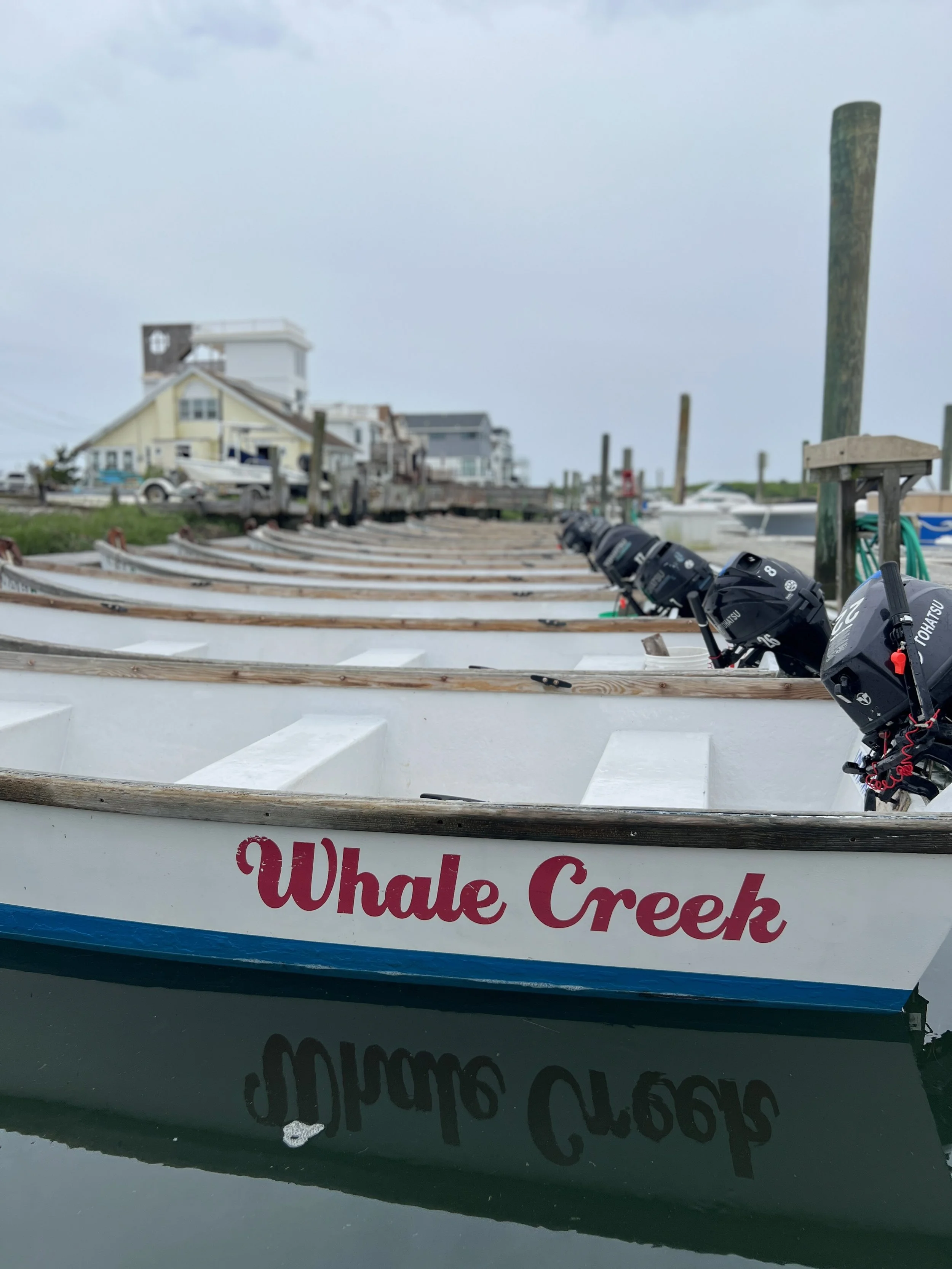 Whale Creek Marina – photo 3 of 5