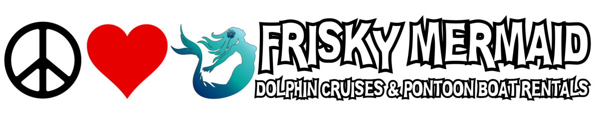 Frisky Mermaid Dolphin Tours & Pontoon Boat Rentals – photo 3 of 5