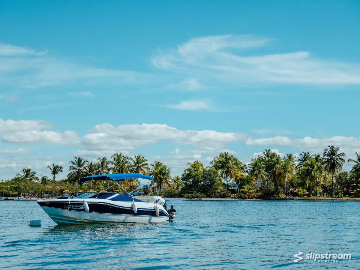 The Bluesail Guys – photo 3 of 5
