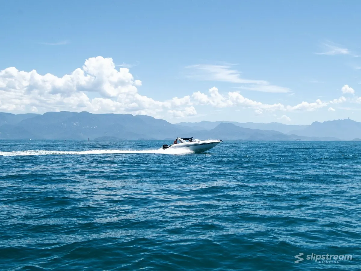 Lifetime Docks & Hoists – photo 5 of 5