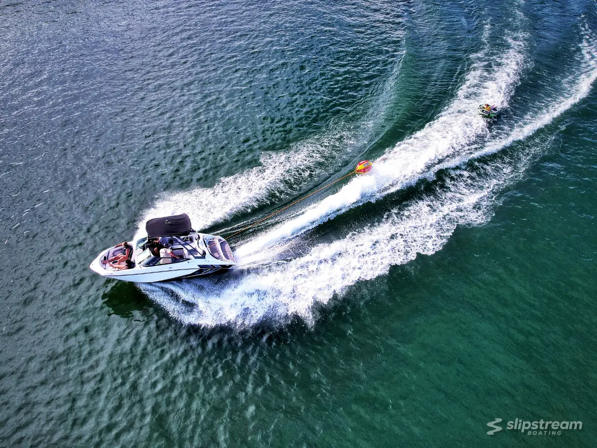 Frisky Mermaid Dolphin Tours & Pontoon Boat Rentals – photo 5 of 5
