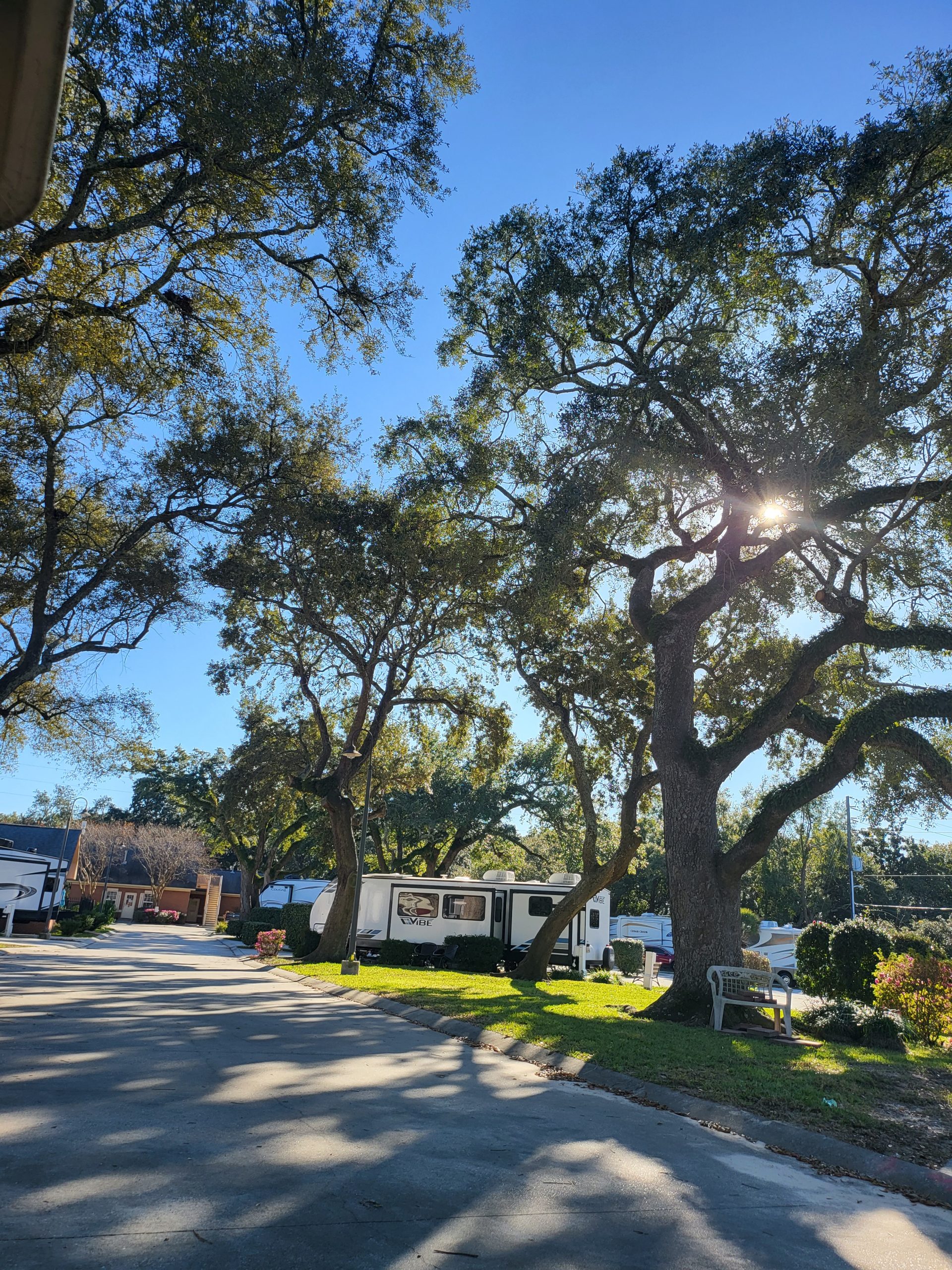 Majestic Oaks RV Resort – photo 5 of 5