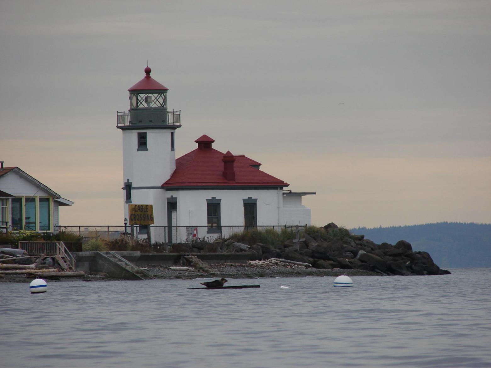 Alki Kayak Tours – photo 4 of 5