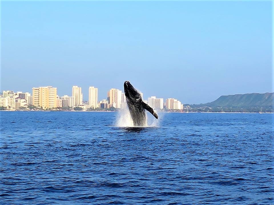 Living Ocean Tours – photo 5 of 5