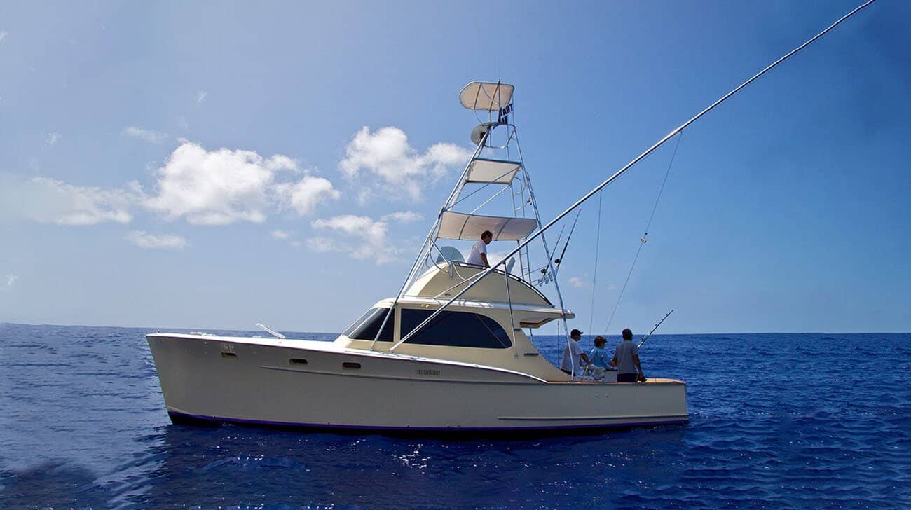 Humdinger Sportfishing – photo 5 of 5