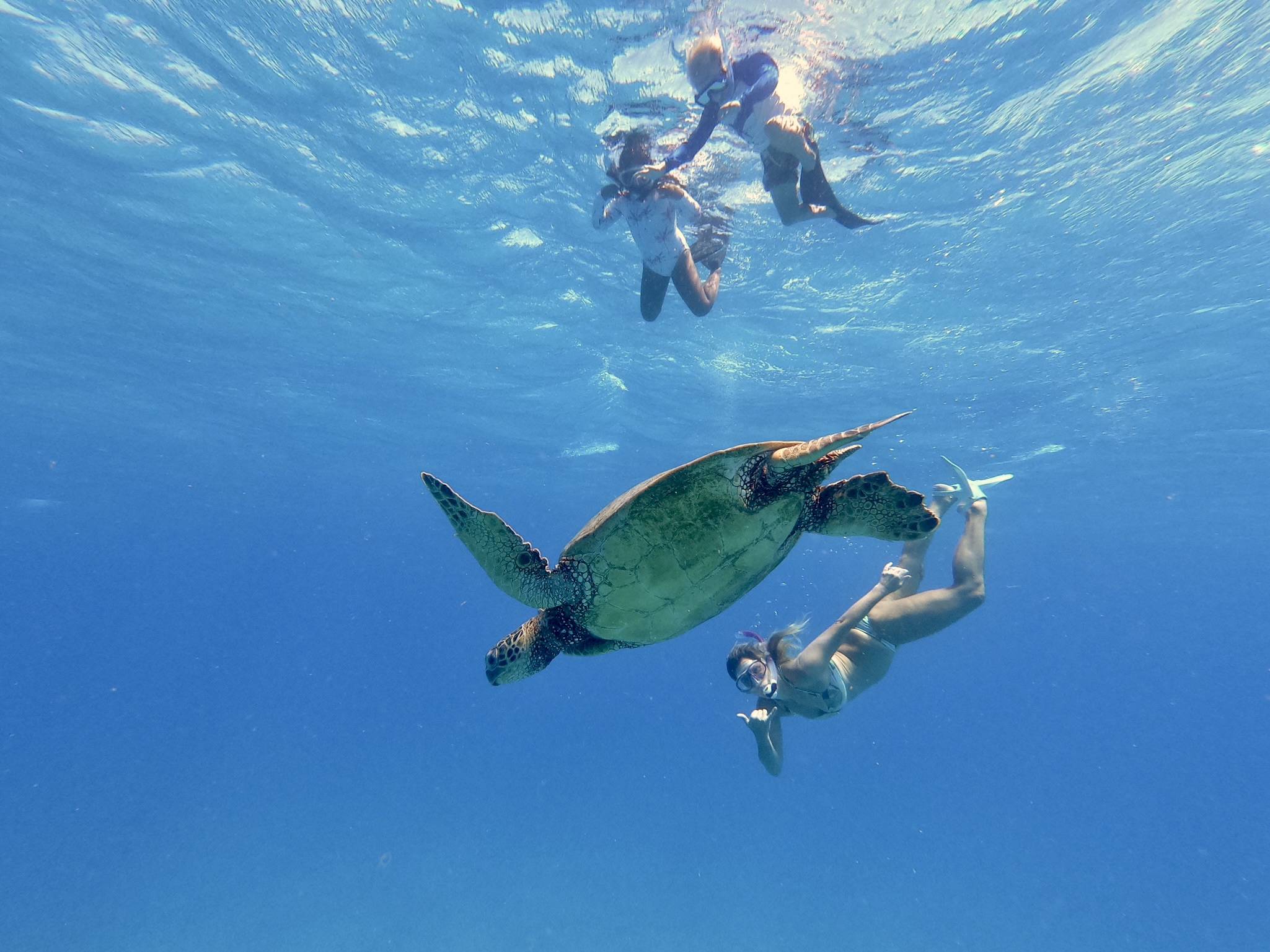 Living Ocean Tours – photo 4 of 5