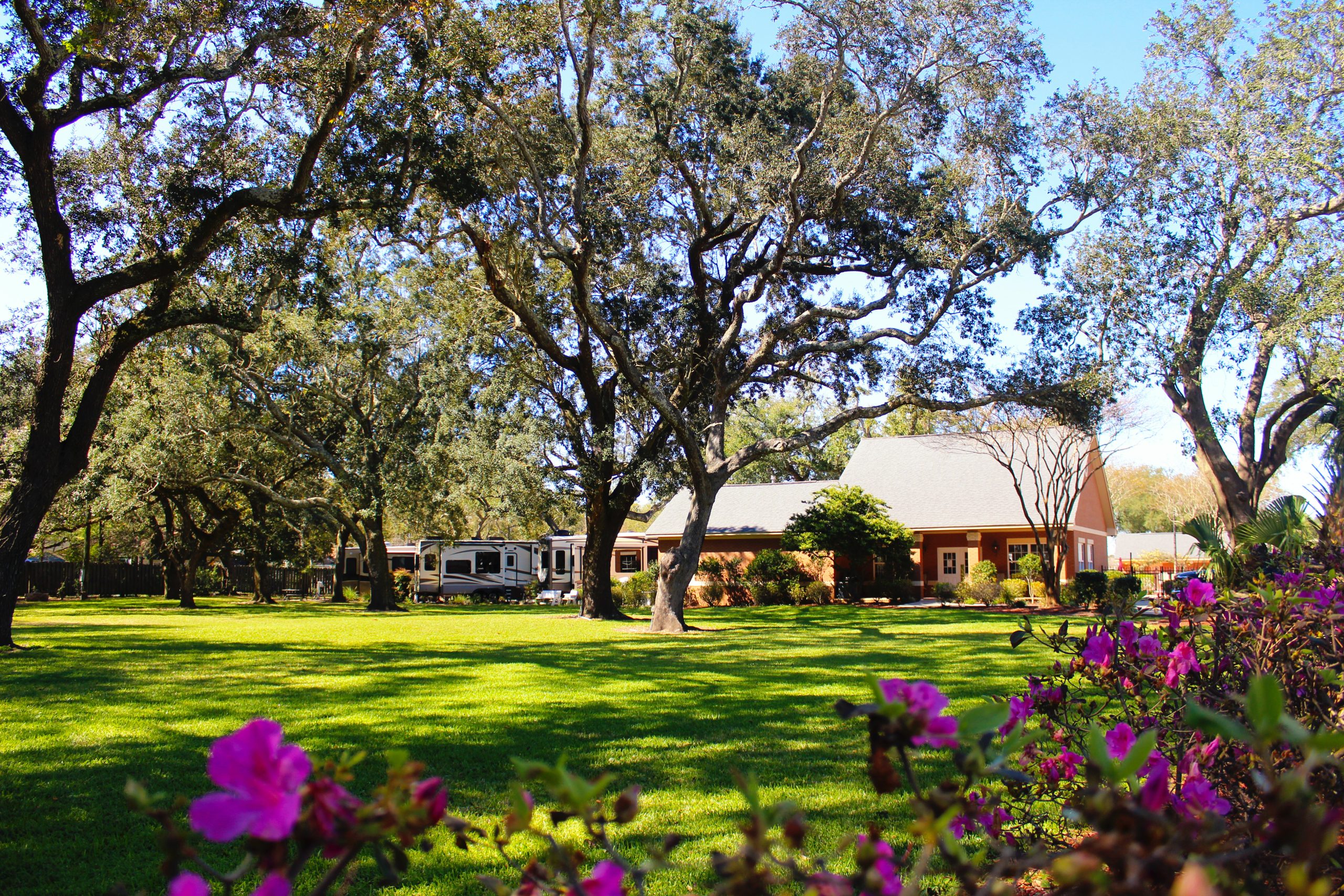 Majestic Oaks RV Resort – photo 3 of 5