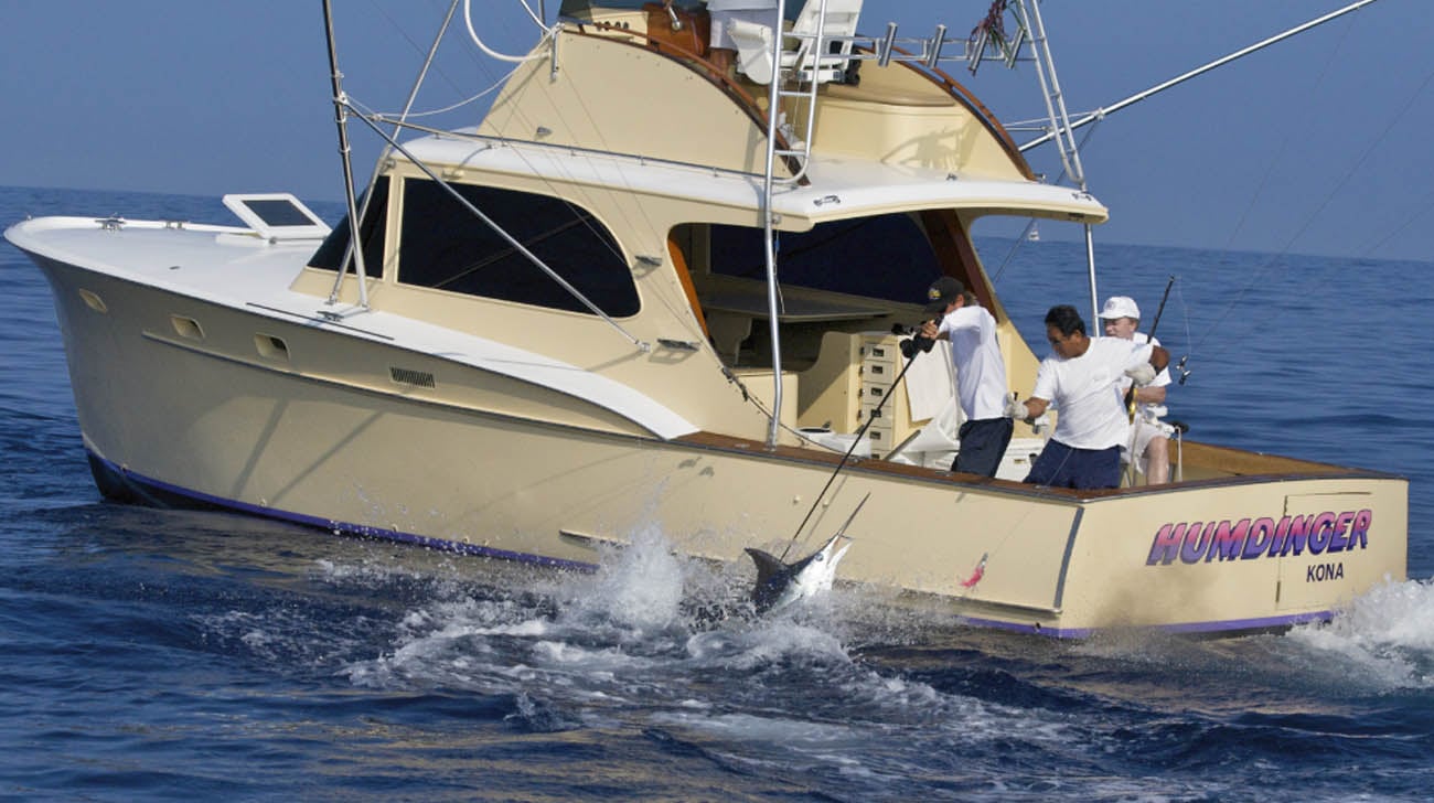Humdinger Sportfishing – photo 3 of 5