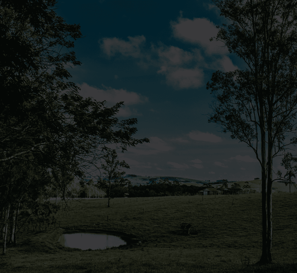 Fripp Island Rentals & Excursions – photo 2 of 5